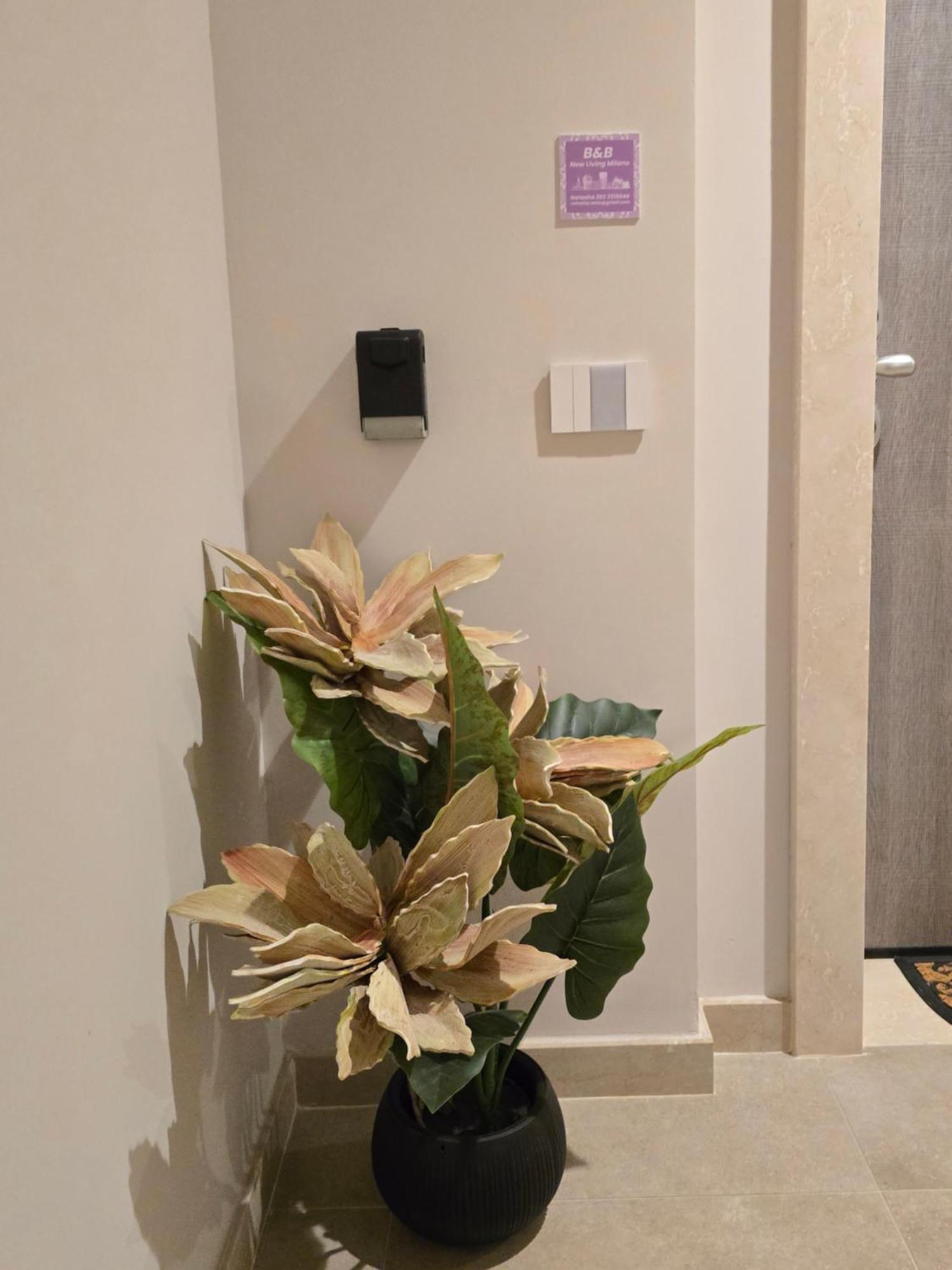 לינה וארוחת בוקר גורגונזולה New Living Milano מראה חיצוני תמונה