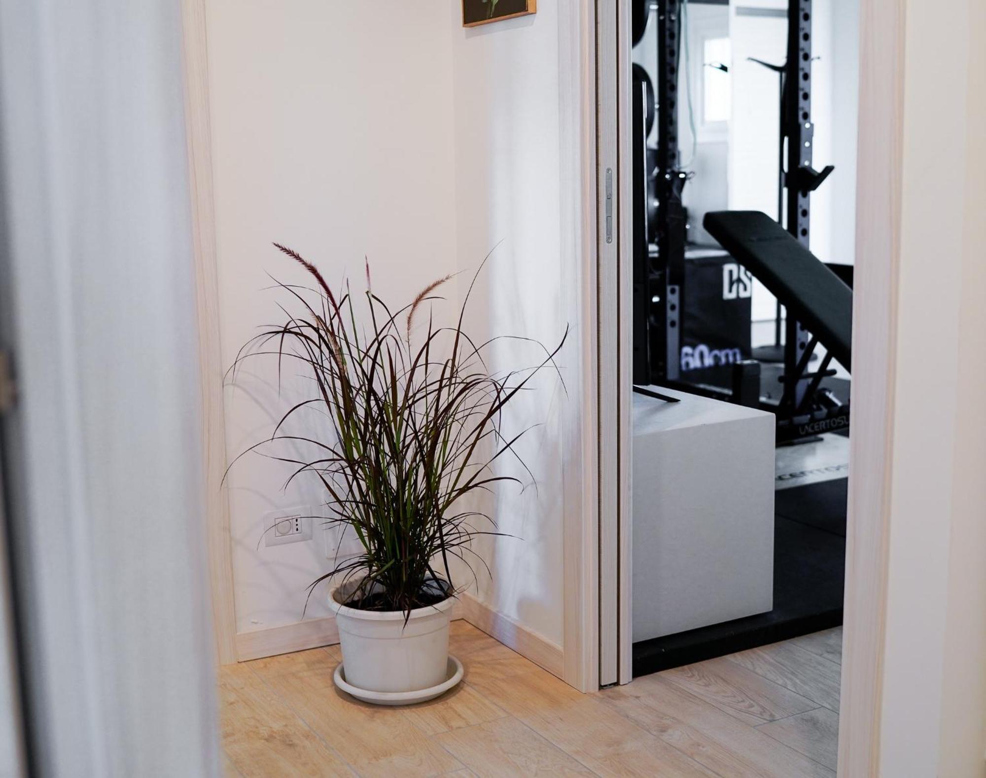 לינה וארוחת בוקר גורגונזולה New Living Milano מראה חיצוני תמונה